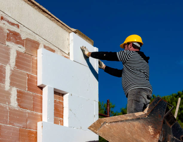 Best Professional Insulation Contractor  in St Ann, MO