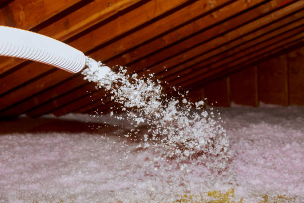 Best Residential Insulation Services  in St Ann, MO