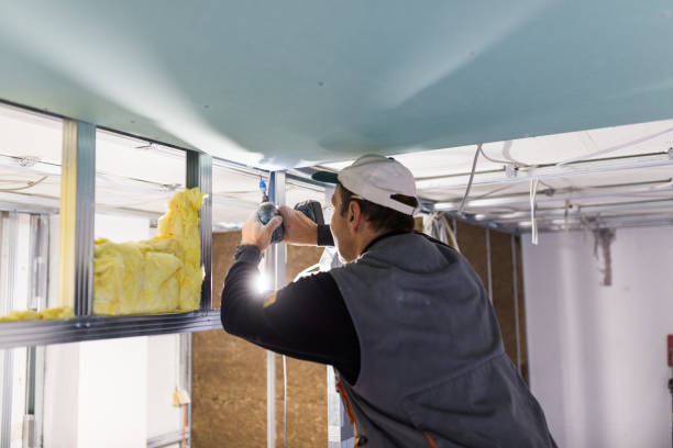 Best Attic Insulation Installation  in St Ann, MO