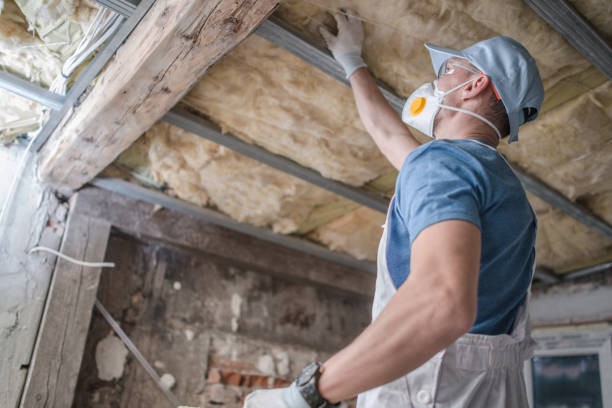 Best Affordable Insulation Services  in St Ann, MO