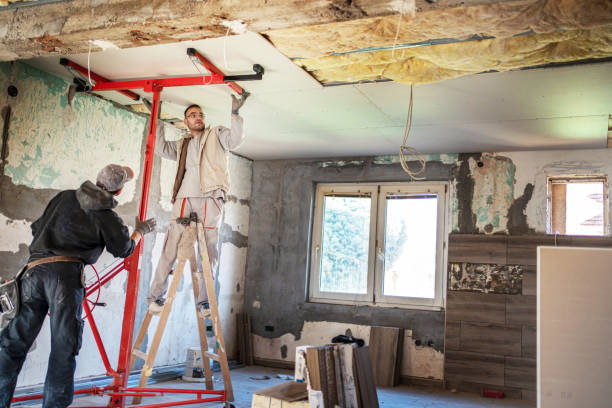 Best Cellulose Insulation  in St Ann, MO
