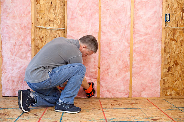 Best Garage Insulation Installation  in St Ann, MO