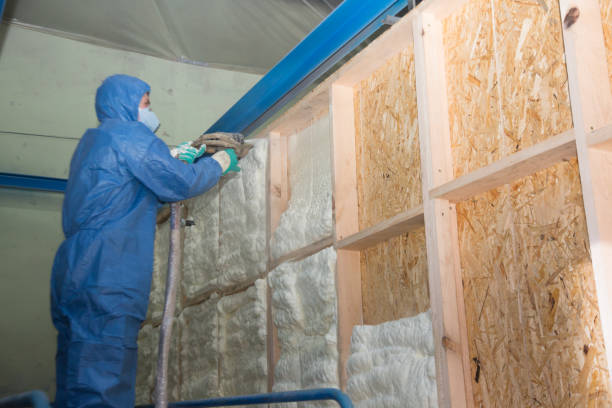 Best Insulation Removal  in St Ann, MO