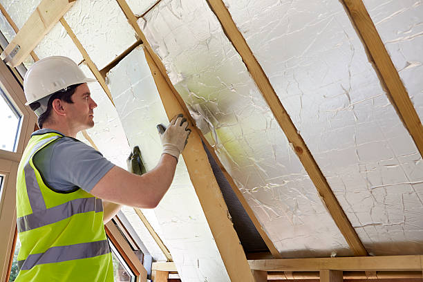Best Insulation Repair Services  in St Ann, MO