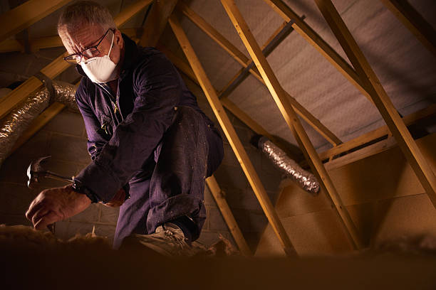 Best Professional Insulation Contractor  in St Ann, MO
