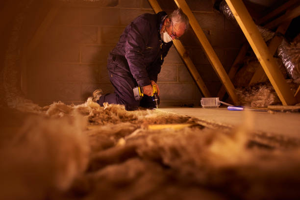 Best Insulation for Commercial Buildings  in St Ann, MO