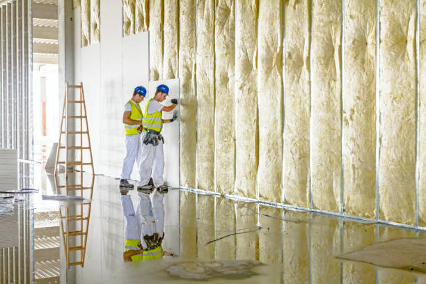 Best Insulation Inspection Services  in St Ann, MO